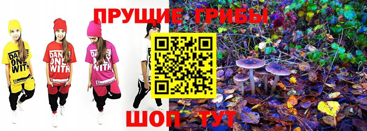 Галлюциногенные грибы мухоморы  Вход с VPN  наркотики  Псилоцибиновые грибы GOLDEN TEACHER  Кингисепп 